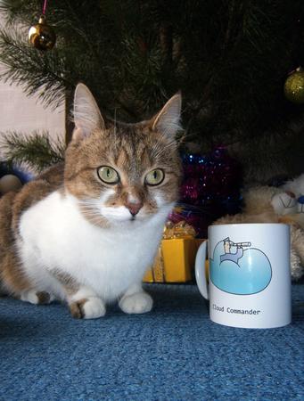 logo on a cup with cat